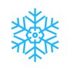 frozen snowflake vector