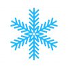 Winter Snowflake Vector