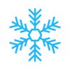 ice crystal snowflake vector