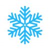 frozen snowflake vector art