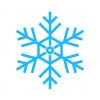 Beautiful Snowflake Vector Art
