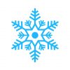 snowflake snow vector