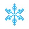 vector snowflake pattern