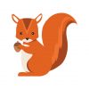 Squirrel Vector File | Orange Squirrel Vector | Acorn Squirrel Vector Image | SVG Acorn Vector Art