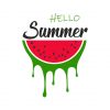 Summer Watermelon Vector