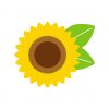 Sunflower Vector Design