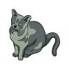Devon Rex Vector Art | Devon Rex Cat Vector | Cat Vector Images | Grey Devon Rex Cat | EPS Cat Format Vector