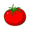 tomato vector art