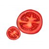 tomato slice vector