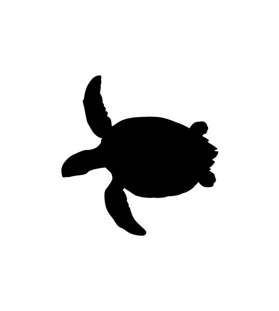 Download Graceful Swimming Sea Turtle Eps Ai Svg Pdf Png Clip Arts