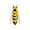 Elegant and Lovely Sand Wasp Vector Art