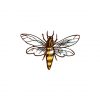 Beautiful Sketch Wasp Vector