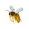 Looming and Grim Wasps Vector Art