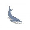 Wandering Blue Whale Vector Art