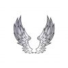 Enamoring Angelic Wings Vector Art