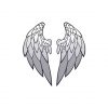 Divine Heraldic Wings Vector Art
