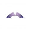 Exotic Angelic Wings Vector Art