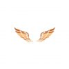 Captivating Orange and Brown Pegasus Wings Vector Art