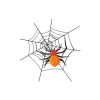Amazing Lace Webbed Spider Vector Art