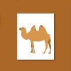 Wild Bactrian Camel Vector Art