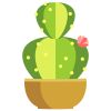 Cactus Flower Plant Vector Art