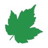 Brilliant Green Maple Leaf Embroidery Design