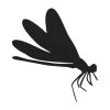 Dragonfly Embroidery Digitized Design