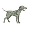 Dalmatian Embroidery Design | Animal PES Embroidery File | Dog Embroidery Design | Pet Animal Machine Embroidery File