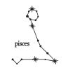 Excellent Pisces Zodiac Sign Star Signs Embroidery Design
