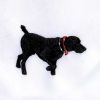 Black Lab Embroidery Design | Pet Animal PES Embroidery File | Dog Embroidery Design | Animal Machine Embroidery File