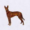 Pharaoh Hound Embroidery Design | Pet Animal PES Embroidery File | Dog Machine Embroidery Design