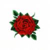 Beautiful Red Rose Flower Embroidery Design