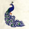 Bold and Blue Detailed Peacock Embroidery Design