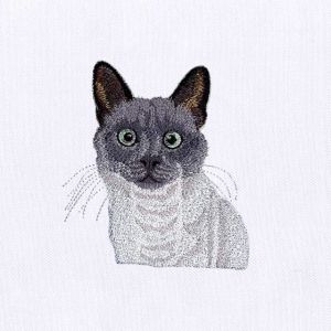Cat Embroidery Designs