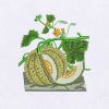 Palatable Melons Digital Embroidery Design