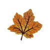 Brown Maple Leaf Patch