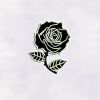 Beautiful Black Rose Embroidery Design