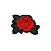Red Rose Flower Patch