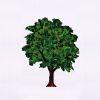 Beautifully Luscious Evergreen Tree Embroidery Design