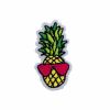 Pineapple Patch For Clothing