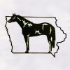 Black and White Horse Embroidery Design