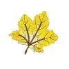 Golden Yellow Maple Leaf Patch