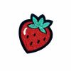 Fruits Embroidered Patch