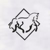 Beautiful Horse Outline Embroidery Design