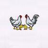 Playful Chicken and Baby Chicks Embroidery Design