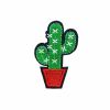 Saguaro Cactus Patch