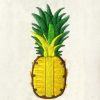 Exotically Yellow Pineapple Embroidery Design
