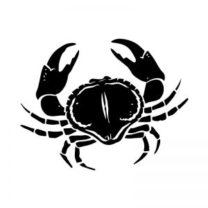 Crab Stencil Art