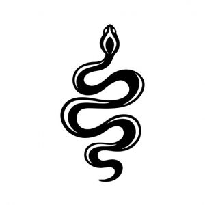 Snake Stencil Art