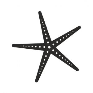 Starfish Stencil Art
